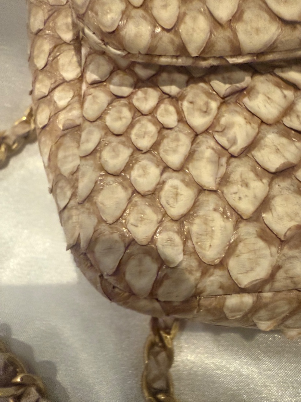 Chanel Python mini flap bag - Picture 10 of 15